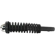 Purchase Top-Quality GSP NORTH AMERICA - 836318 - Suspension Strut and Coil Spring Assembly - Front Right pa3