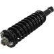 Purchase Top-Quality GSP NORTH AMERICA - 882319 - Suspension Strut and Coil Spring Assembly - Front Right pa1