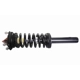 Purchase Top-Quality GSP NORTH AMERICA - 882388 - Suspension Strut and Coil Spring Assembly pa4
