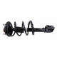 Purchase Top-Quality GSP NORTH AMERICA - 882427 - Suspension Strut and Coil Spring Assembly pa4