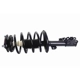 Purchase Top-Quality GSP NORTH AMERICA - 882487 - Suspension Strut and Coil Spring Assembly - Front Right pa3