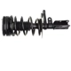 Purchase Top-Quality GSP NORTH AMERICA - 882514 - Suspension Strut and Coil Spring Assembly pa1