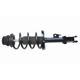 Purchase Top-Quality GSP NORTH AMERICA - 882539 - Suspension Strut and Coil Spring Assembly - Front Right pa1