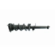 Purchase Top-Quality GSP NORTH AMERICA - 882687 - Suspension Strut and Coil Spring Assembly pa1