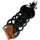 Purchase Top-Quality GSP NORTH AMERICA - 882729 - Suspension Strut and Coil Spring Assembly - Front Right pa1
