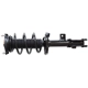 Purchase Top-Quality GSP NORTH AMERICA - 882798 - Suspension Strut and Coil Spring Assembly pa2