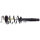 Purchase Top-Quality GSP NORTH AMERICA - 883085 - Strut Assemblies pa3