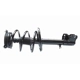 Purchase Top-Quality GSP NORTH AMERICA - 883148 - Suspension Strut and Coil Spring Assembly - Front Left pa1