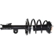 Purchase Top-Quality GSP NORTH AMERICA - 883393 - Suspension Strut and Coil Spring Assembly pa1