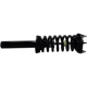 Purchase Top-Quality GSP NORTH AMERICA - 883405 - Suspension Strut and Coil Spring Assembly pa1