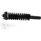 Purchase Top-Quality Front Complete Strut Assembly by KYB - SR4040 pa12