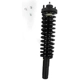 Purchase Top-Quality Front Complete Strut Assembly by KYB - SR4040 pa6