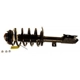 Purchase Top-Quality Front Complete Strut Assembly by KYB - SR4216 pa10