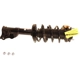 Purchase Top-Quality KYB - SR4241 - Front Complete Strut Assembly pa8