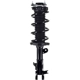 Purchase Top-Quality MACPHERSON RIDE CONTROL - MP1333534L - Strut and Coil Spring Assembly pa1