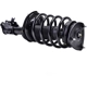 Purchase Top-Quality MANDO - MSS050037 - Suspension Strut and Coil Spring Assembly pa1