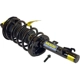 Purchase Top-Quality Front Complete Strut Assembly by MOOG - ST8555R pa5