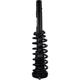 Purchase Top-Quality Front Complete Strut Assembly by MOTORCRAFT - ASTL59 pa4