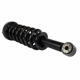 Purchase Top-Quality Front Complete Strut Assembly by MOTORCRAFT - ASTL10 pa1