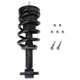 Purchase Top-Quality PRT - 710413 - Suspension Strut and Coil Spring Assembly pa1
