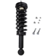 Purchase Top-Quality PRT - 710419 - Suspension Strut and Coil Spring Assembly pa2
