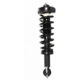 Purchase Top-Quality Front Complete Strut Assembly by PRT - 710879 pa1