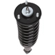 Purchase Top-Quality PRT - 713002 - Suspension Strut and Coil Spring Assembly pa3