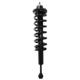 Purchase Top-Quality PRT - 713198R - Suspension Strut and Coil Spring Assembly pa2