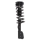 Purchase Top-Quality PRT - 810077 - Suspension Strut and Coil Spring Assembly pa1
