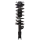 Purchase Top-Quality PRT - 810078 - Suspension Strut and Coil Spring Assembly pa1
