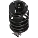 Purchase Top-Quality PRT - 813004 - Suspension Strut and Coil Spring Assembly pa3