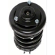 Purchase Top-Quality Front Complete Strut Assembly by PRT - 813103 pa3