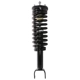 Purchase Top-Quality PRT - 813453 - Suspension Strut and Coil Spring Assembly pa1