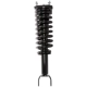 Purchase Top-Quality PRT - 813487 - Suspension Strut and Coil Spring Assembly pa1