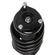 Purchase Top-Quality PRT - 813491 - Suspension Strut and Coil Spring Assembly pa3