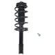 Purchase Top-Quality PRT - 813681 - Suspension Strut and Coil Spring Assembly pa1