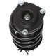 Purchase Top-Quality PRT - 813860 - Suspension Strut and Coil Spring Assembly pa3