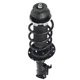 Purchase Top-Quality PRT - 813920 - Suspension Strut and Coil Spring Assembly pa3