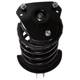 Purchase Top-Quality PRT - 814008 - Suspension Strut and Coil Spring Assembly pa3