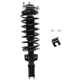 Purchase Top-Quality PRT - 814121 - Suspension Strut and Coil Spring Assembly pa1
