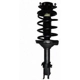Purchase Top-Quality Front Complete Strut Assembly by PRT - 814231 pa1
