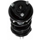Purchase Top-Quality Front Complete Strut Assembly by PRT - 814295 pa3