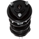 Purchase Top-Quality Front Complete Strut Assembly by PRT - 814296 pa1