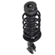 Purchase Top-Quality PRT - 814423 - Suspension Strut and Coil Spring Assembly pa3