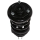 Purchase Top-Quality PRT - 814525 - Suspension Strut and Coil Spring Assembly pa1