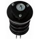 Purchase Top-Quality Front Complete Strut Assembly by PRT - 814545 pa3