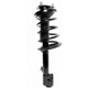 Purchase Top-Quality Front Complete Strut Assembly by PRT - 814579 pa2