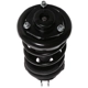 Purchase Top-Quality PRT - 814773 - Suspension Strut And Coil Spring Assembly pa1