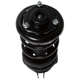 Purchase Top-Quality PRT - 814774 - Suspension Strut And Coil Spring Assembly pa1