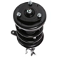 Purchase Top-Quality PRT - 815008 - Suspension Strut And Coil Spring Assembly pa1